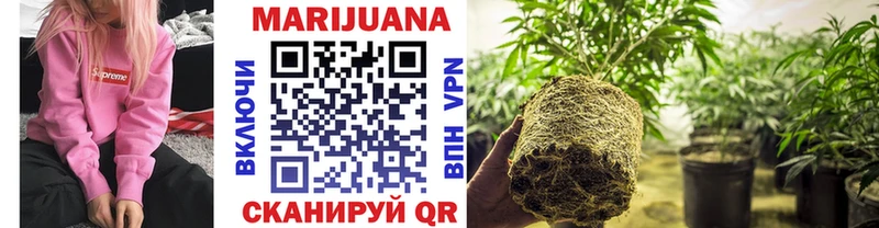 hydra tor  Усть-Джегута  Шишки марихуана план 